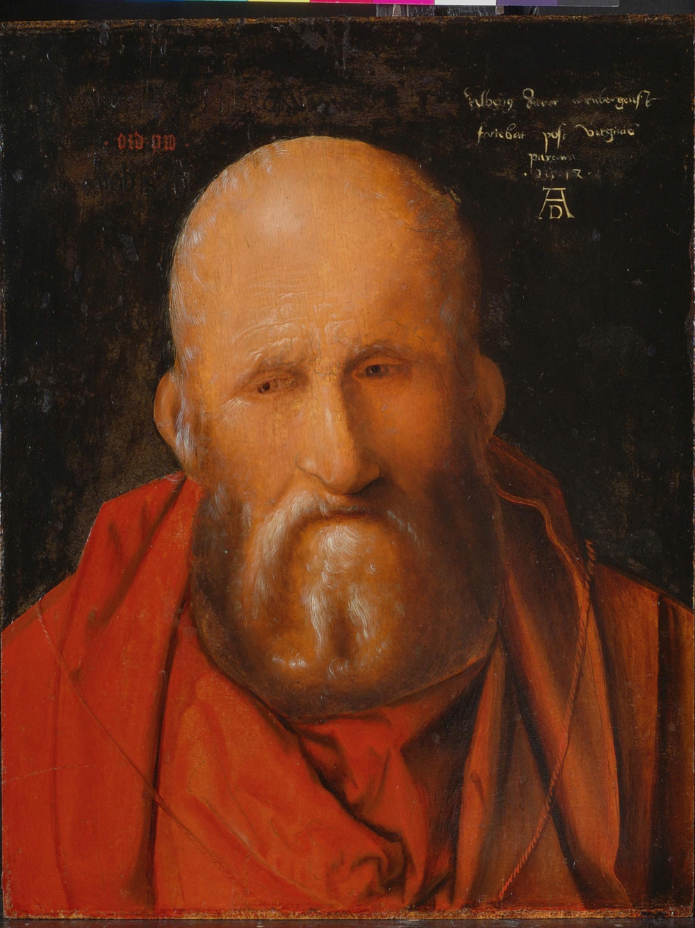 Albrecht DÃ¼rer, San Girolamo (1514; olio su tavola, 33,2 x 25,6 cm; Siena, Collezione Piccolomini Spannocchi)

