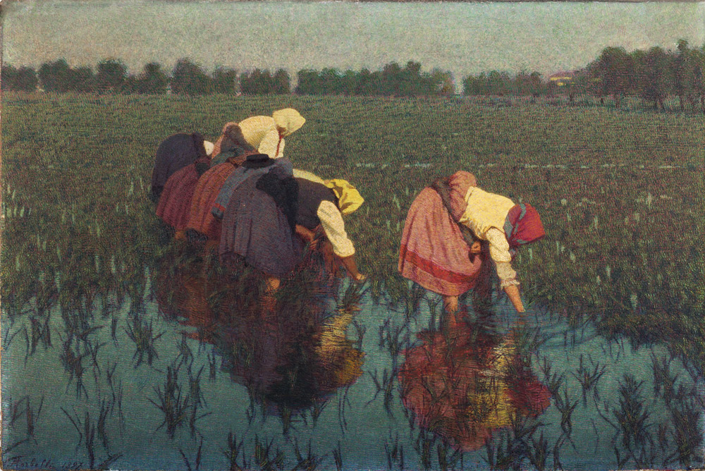 Angelo Morbelli, Risaiuole (1897; olio su tela, 40 x 60 cm; collezione privata)