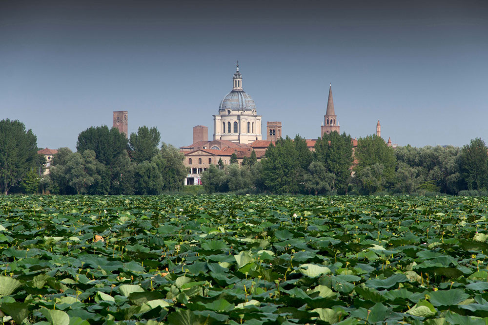 Mantua hosts first World Forum on Urban Forests