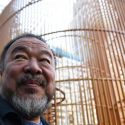 Gilded cage, la gabbia dorata di Ai Weiwei, è a Venezia