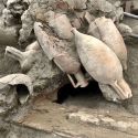 Scoperta a Pompei: torna alla luce il vicolo dei balconi