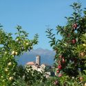 Torna la Giornata delle Dimore Storiche Italiane: tanti gli appuntamenti per domenica 27 maggio 2018