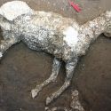 Straordinaria scoperta a Pompei: trovati per la prima volta i resti di un cavallo