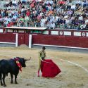 Spagna, il ministro della Cultura: “la corrida è una tradizione. Non la aboliremo”