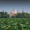 Mantova ospita il primo Forum Mondiale sulle Foreste Urbane