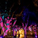Pomezia Light Festival ci porta in un futuro più smart e luminoso