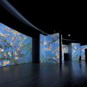 Van Gogh Alive The Experience arriva per la prima volta a Genova