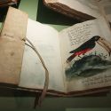 Alla scoperta di mondi sconosciuti con i viaggiatori del passato: a Modena meravigliose avventure attraverso i libri