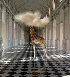 A Massa arrivano le foto surreali di Bart Herreman