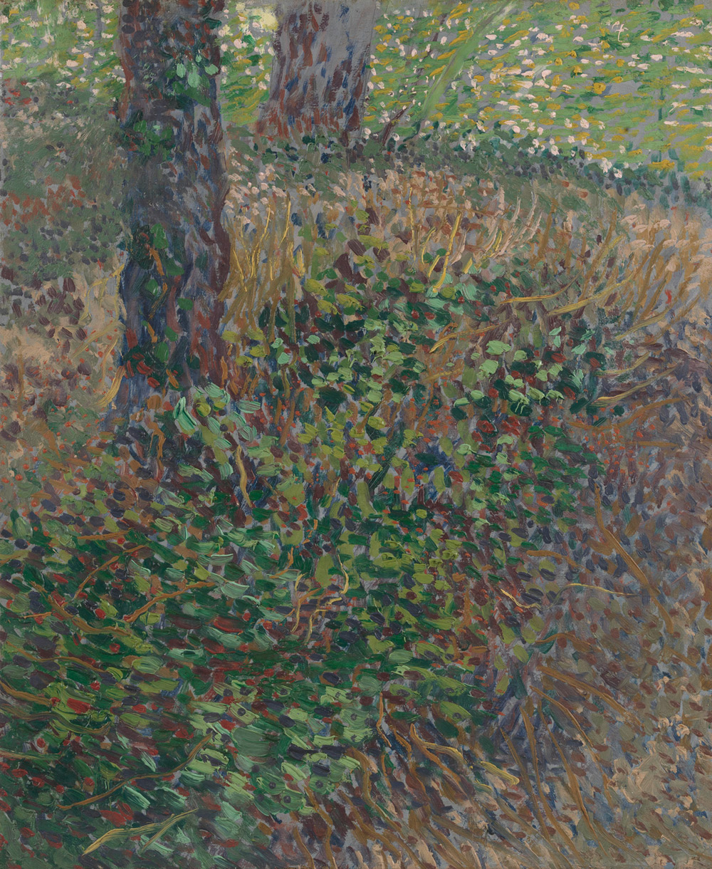 Vincent van Gogh, Sottobosco (luglio 1887; olio su tela, 46 x 38 cm; Amsterdam, Van Gogh Museum) 
