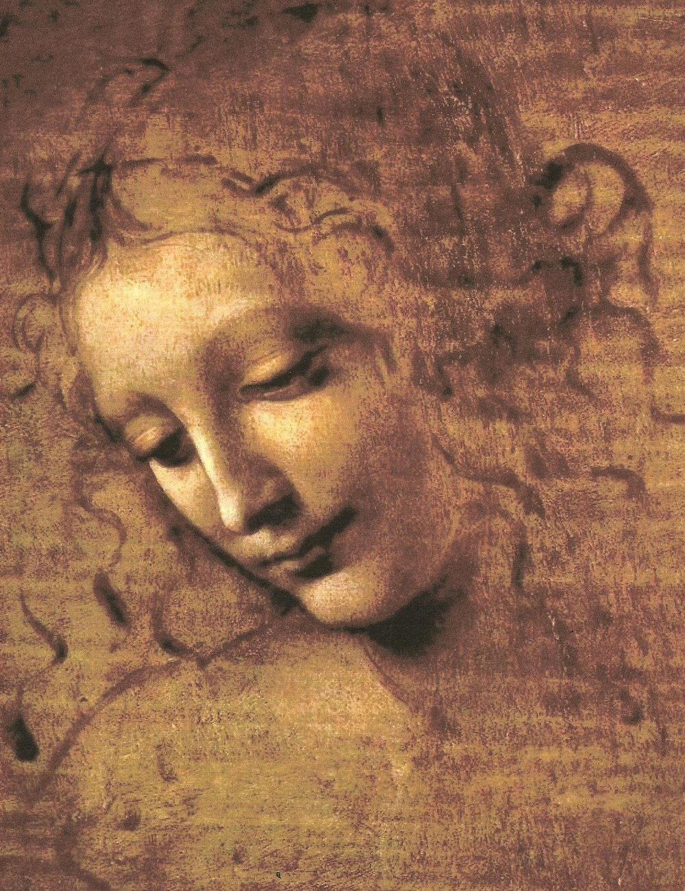 Leonardo da Vinci, Testa di donna detta la Scapigliata (1504-1508 circa; terra ombra e ambra inverdita lumeggiata di biacca su tavola, 24,7 x 21 cm; Parma, Galleria Nazionale)
 Leonardo da Vinci, Testa di donna detta la Scapigliata (1504-1508 circa; terra ombra e ambra inverdita lumeggiata di biacca su tavola, 24,7 x 21 cm; Parma, Galleria Nazionale)