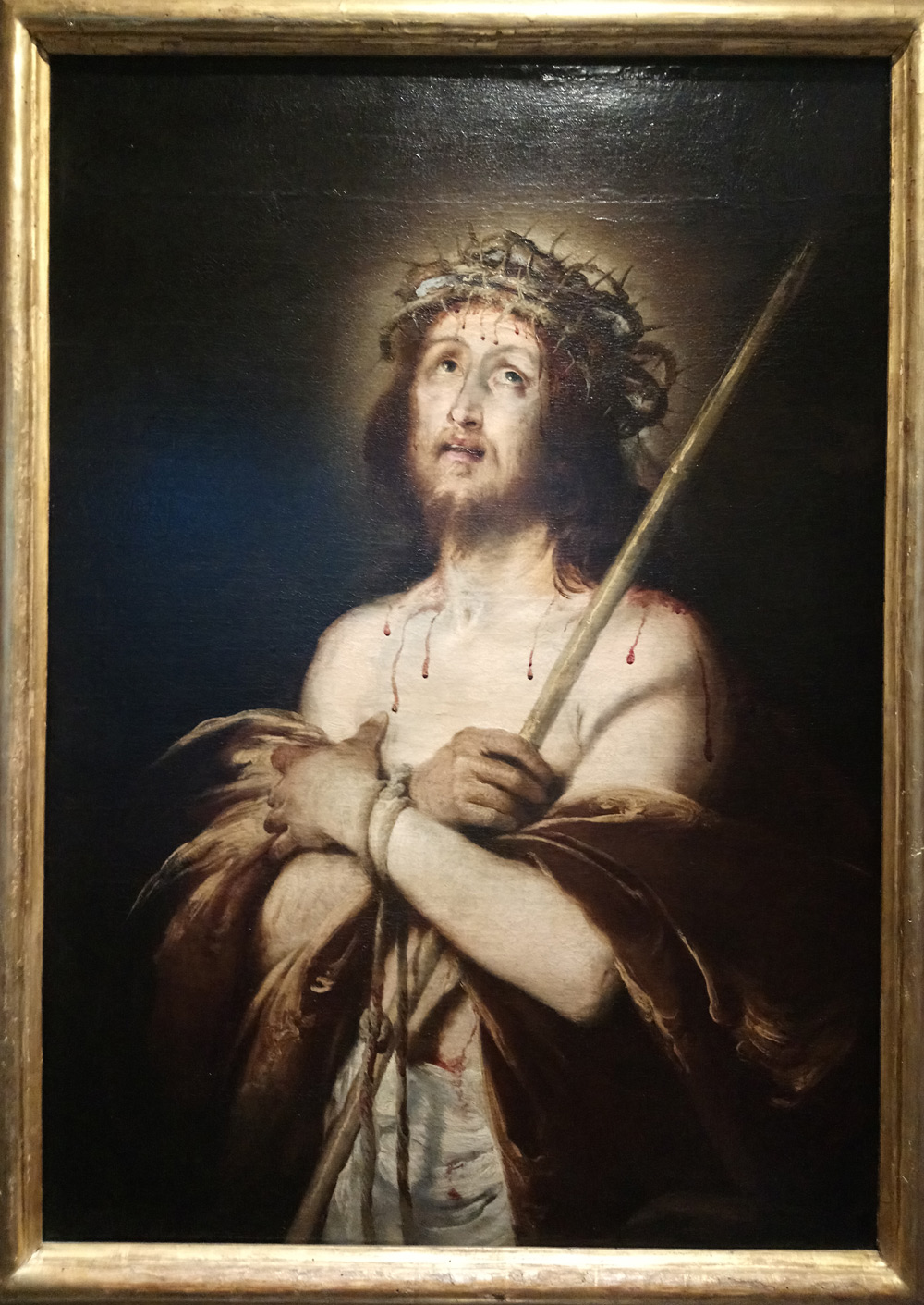 Bernardo Strozzi, Ecce Homo (1620-22; olio su tela, 105 x 75 cm; Genova, Galleria Nazionale di Palazzo Spinola)
