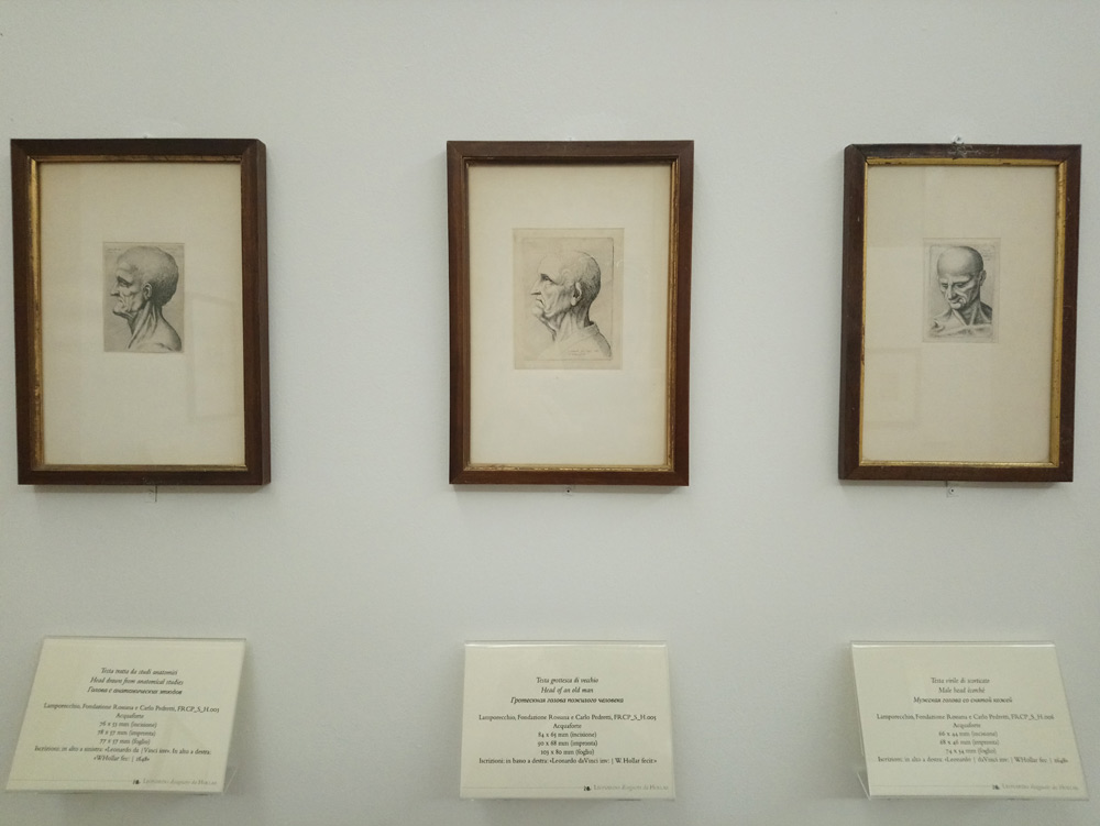 Immagine dalla mostra Leonardo disegnato da Hollar
