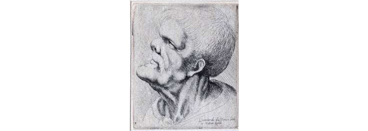 Wenceslaus Hollar, Testa grottesca con muscoli del collo in evidenza (XVII secolo; acquaforte, 59 x 50 mm l'incisione, 62 x 52 mm l'impronta, 63 x 53 mm il foglio; Lamporecchio, Fondazione Rossana & Carlo Pedretti, FRCP_S_H.004). Iscrizioni: In basso a destra: « Leonardo da Vinci inv: | W. Hollar fecit ». P1575
