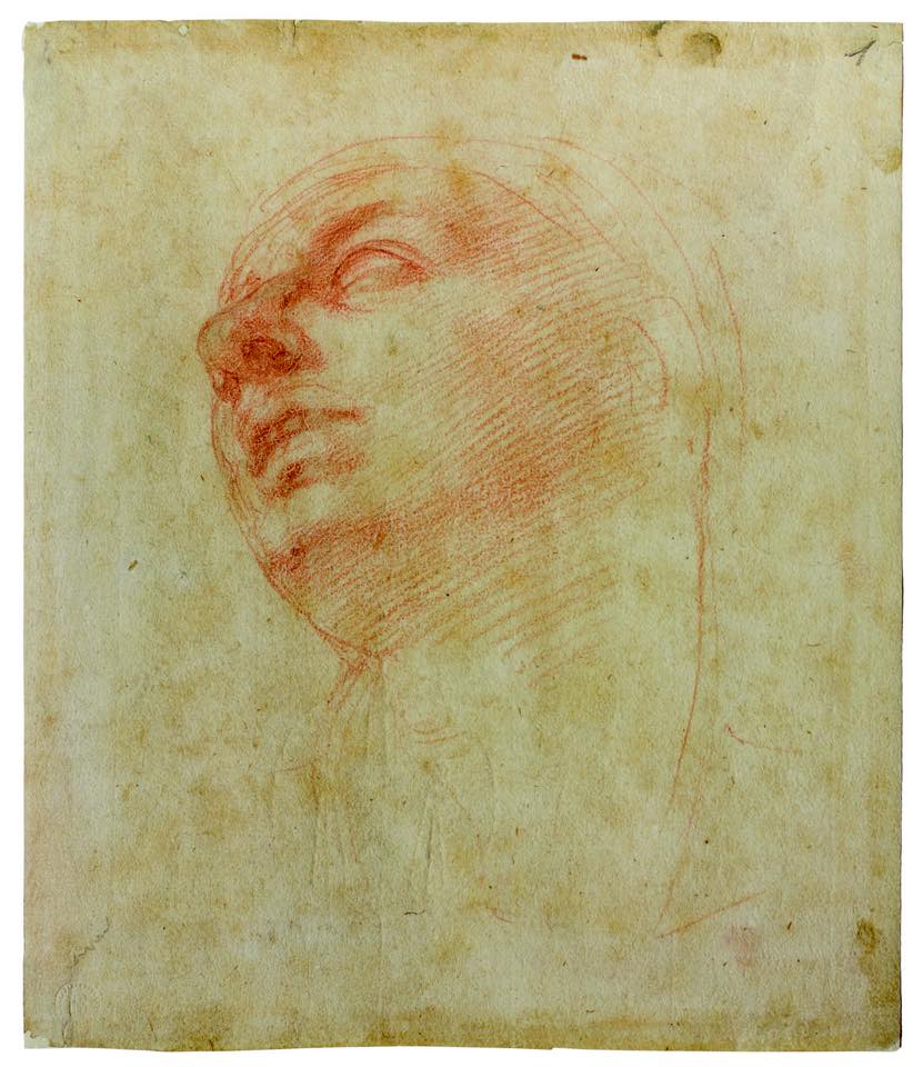 Michelangelo, Studio per la testa della Madonna del Tondo Doni (1506 circa; sanguigna su carta; Firenze, Casa Buonarroti)
