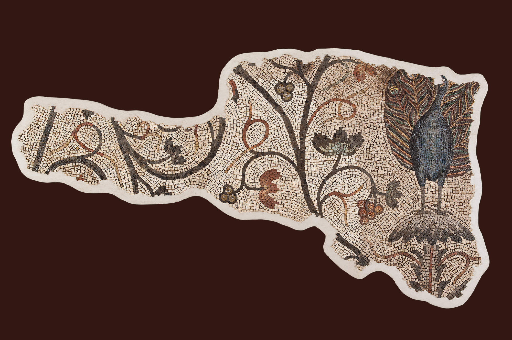 Il mosaico del pavone. Ph. Credit Gianluca Baronchelli
