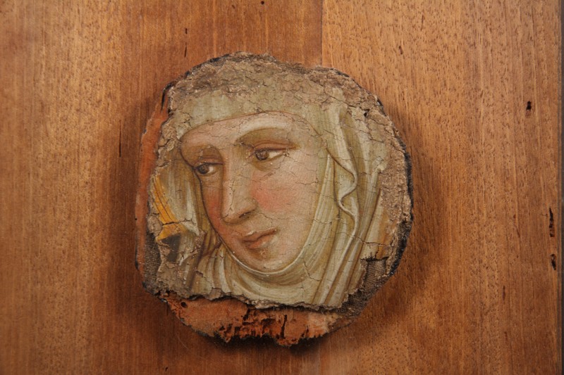 Ambito adriatico, Testa di santa (XIV secolo; frammento di affresco, 8,3 x 8,5 cm; Bitonto, Galleria Nazionale della Puglia Girolamo e Rosaria Devanna)
