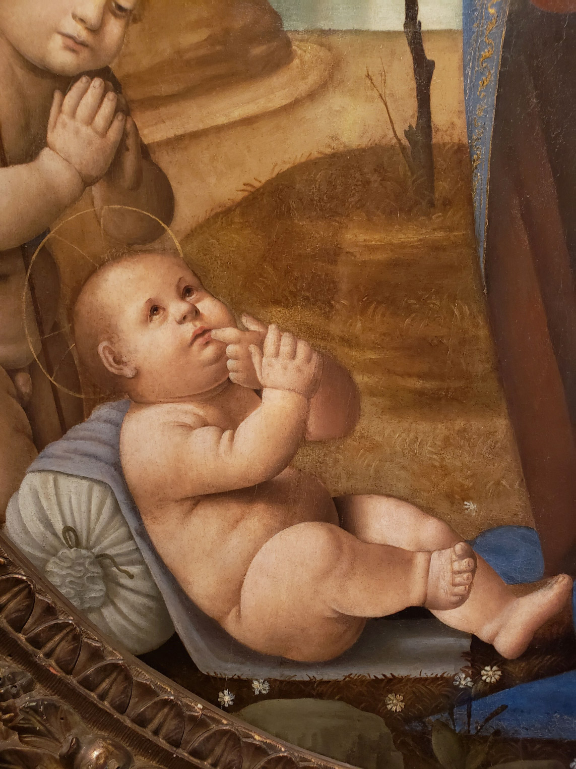 Lorenzo di Credi, Adorazione del Bambino, dettaglio del Bambino
 Lorenzo di Credi, Adorazione del Bambino, dettaglio del Bambino