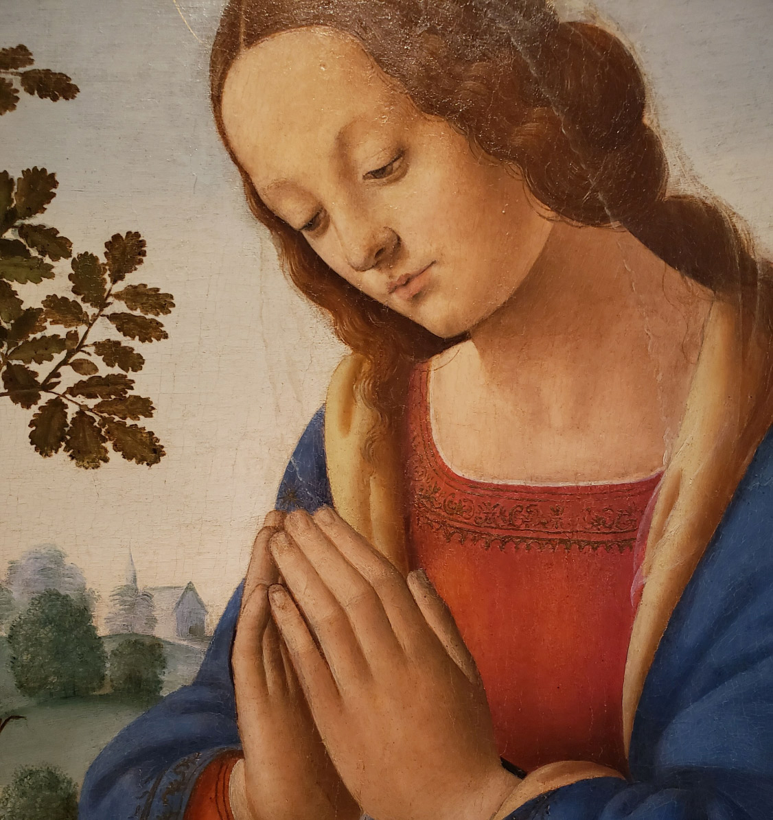Lorenzo di Credi, Adorazione del Bambino, dettaglio della Vergine
 Lorenzo di Credi, Adorazione del Bambino, dettaglio della Vergine