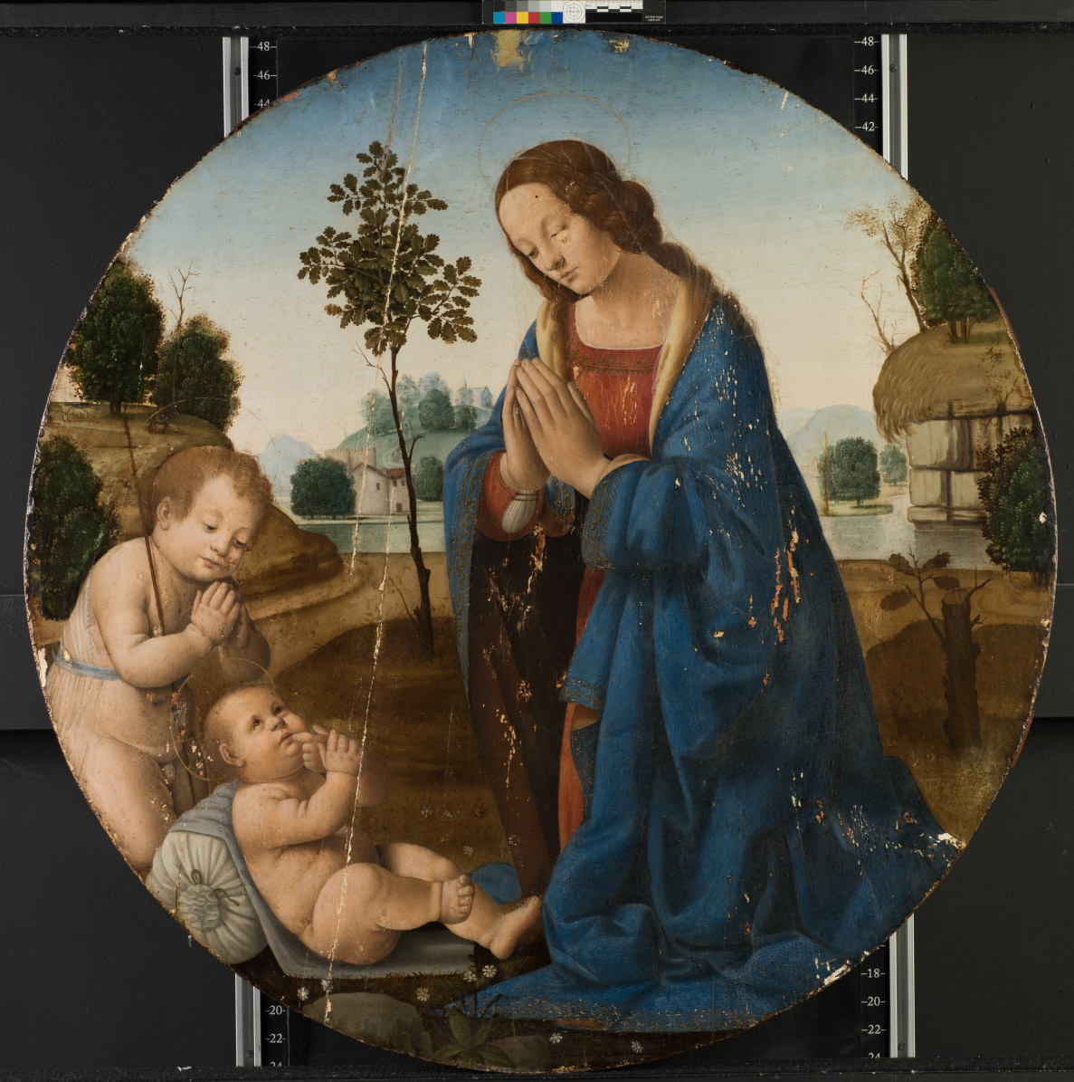 Lorenzo di Credi, Adorazione del Bambino, stato di conservazione dell'opera prima del restauro
 Lorenzo di Credi, Adorazione del Bambino, stato di conservazione dell'opera prima del restauro