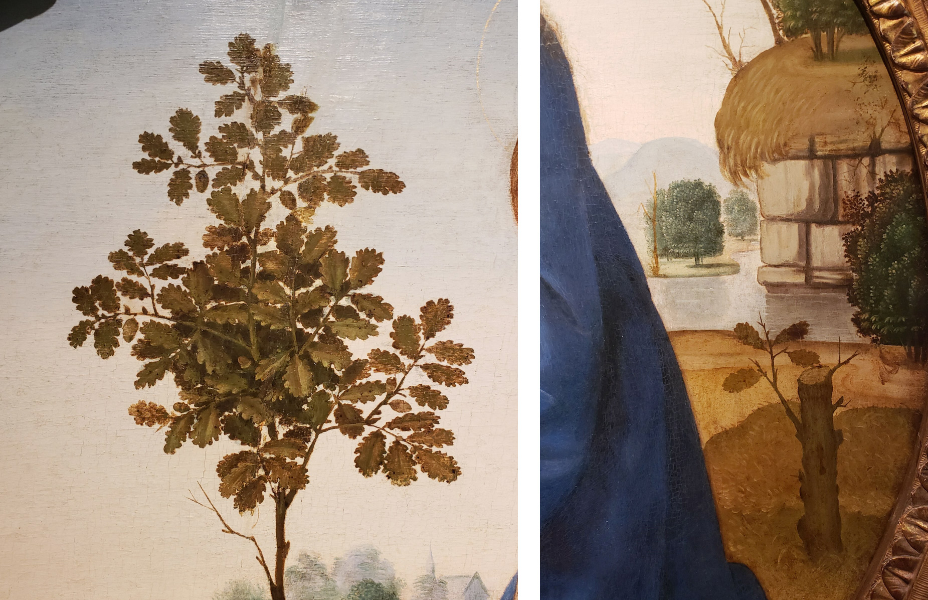 Lorenzo di Credi, Adorazione del Bambino (Tondo Portinari), dettagli 
 Lorenzo di Credi, Adorazione del Bambino (Tondo Portinari), dettagli