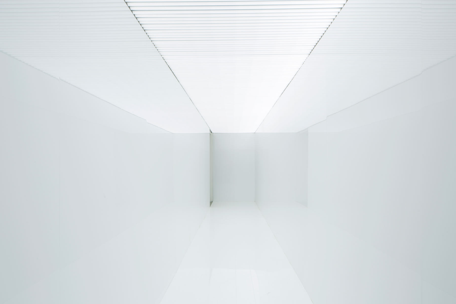 Ryoji Ikeda, spectra III (2008; tubi a LED, pannelli in legno laminato bianco). Ph. Credit Francesco Galli  
