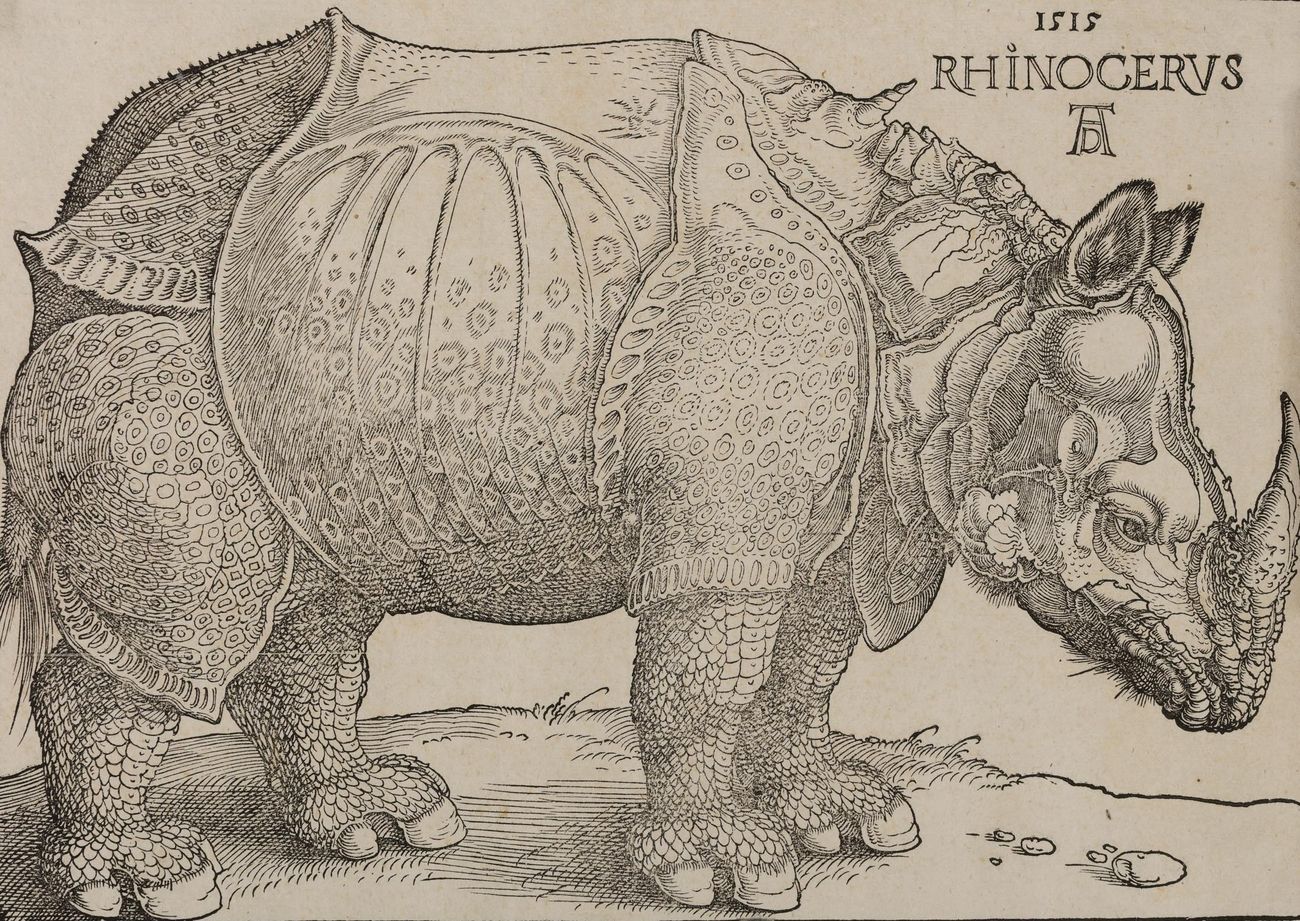 Albrecht Dürer, Rinoceronte (1515; xilografia, 215 x 230 mm; Bassano del Grappa, Musei Civici)

