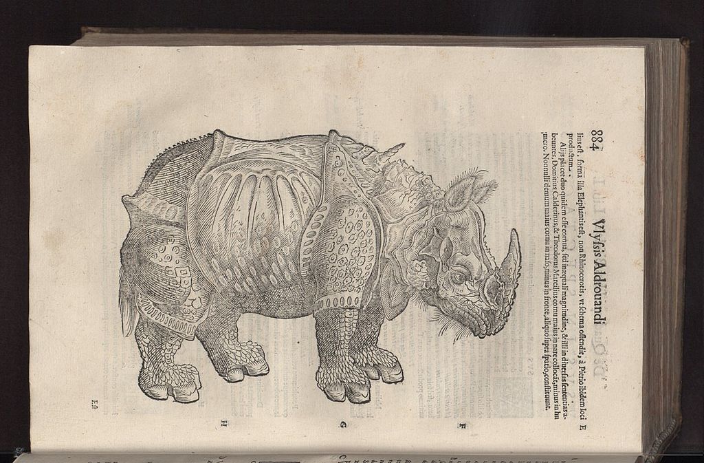 Il rinoceronte illustrato nella Quadrupedum omnium bisulcorum historia di Ulisse Aldrovandi (pubblicata nel 1621)
