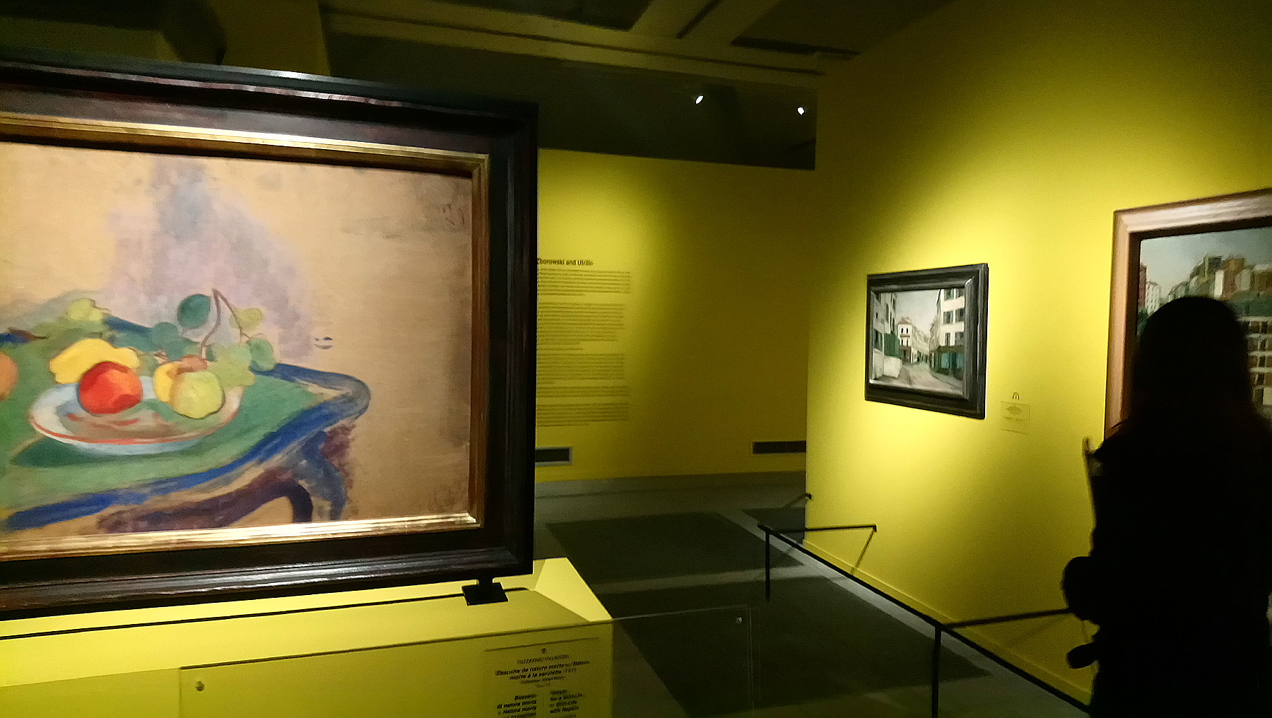 Immagini dalla mostra Modigliani e l'avventura di Montparnasse. Capolavori dalle collezioni Netter e Alexandre
