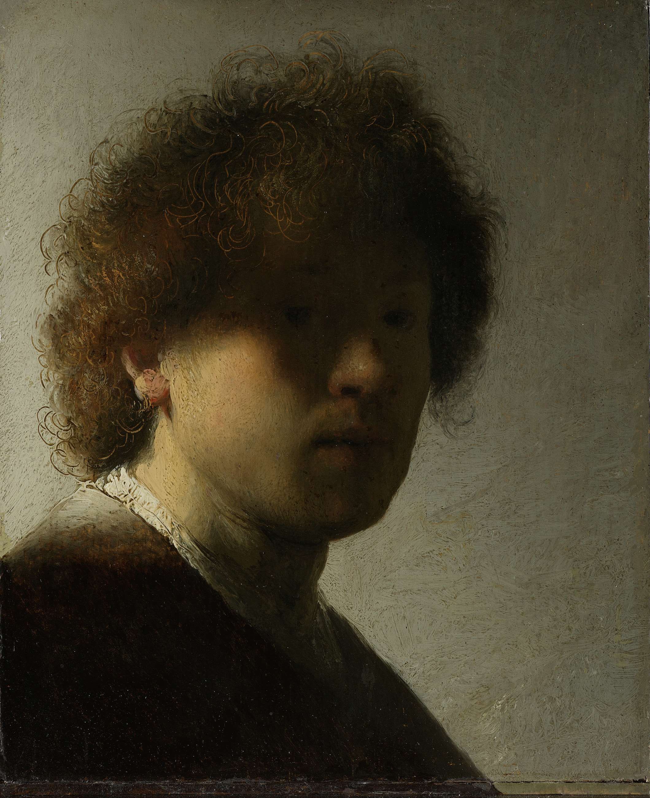 Rembrandt, Dipinto storico (1626 circa; olio su tavola, 90 x 122 cm; Leiden, Museum de Lakenhal)
