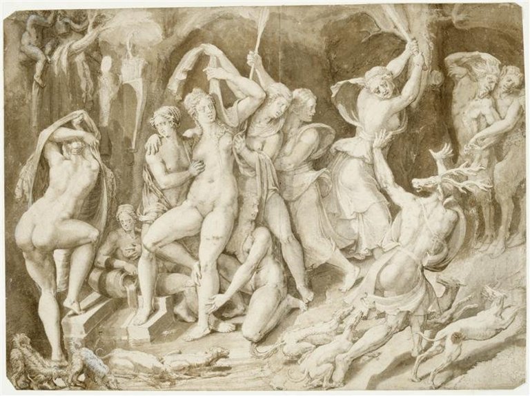 Giovanni Battista Bertani, Atteone trasformato in un cervo (1560 circa; matita nera, penna e inchiostro bruno, acquerellature grigie e brune, lumeggiature bianche parzialmente ossidate, 322 x 444 mm; Parigi, Musée du Louvre, Département des Arts graphiques, inv. 20926)
