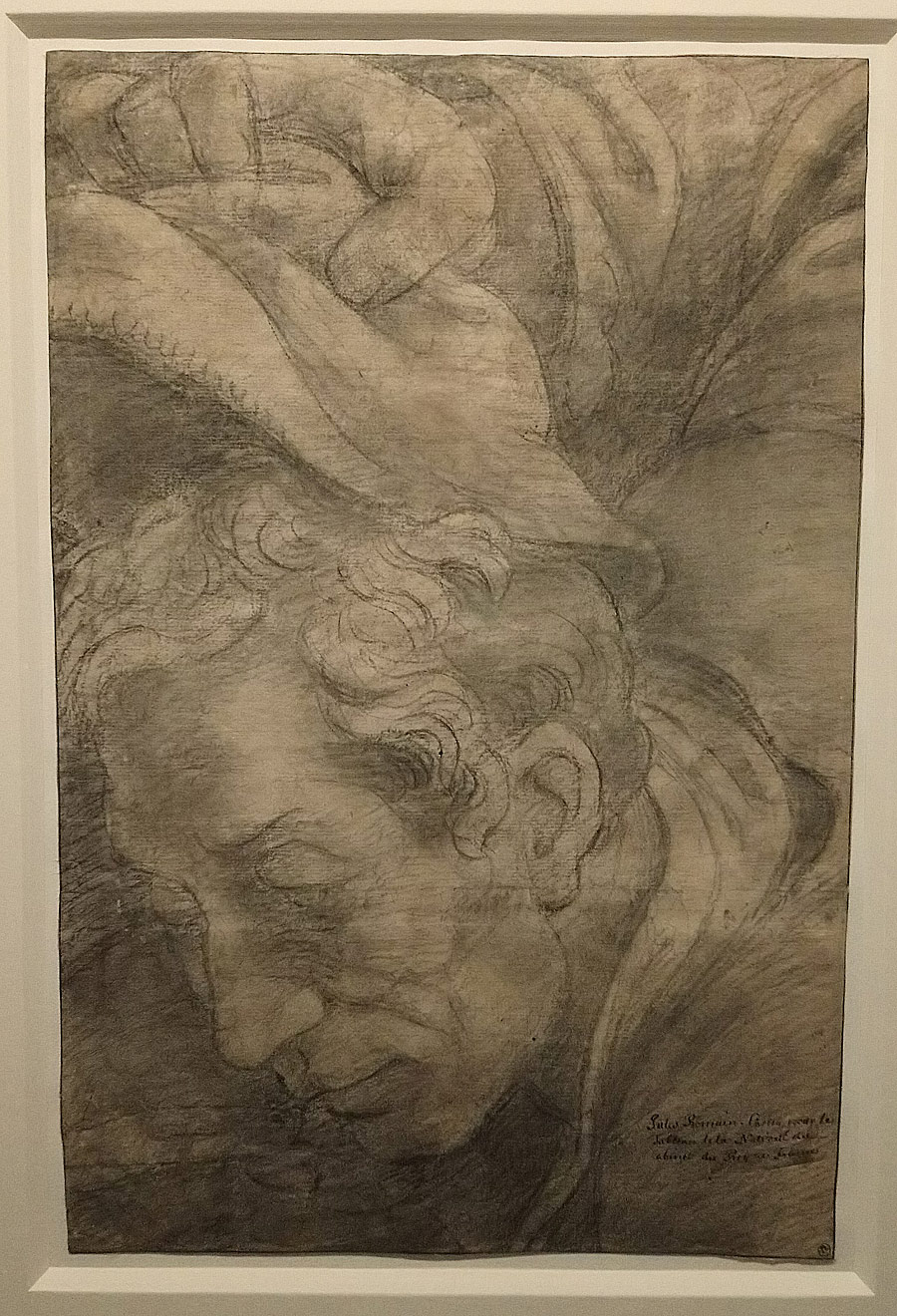 Giulio Romano, Testa di pastore (1531 circa; carboncino su due fogli di carta incollati insieme, 367 x 245 mm; Stoccolma, Nationalmuseum, NMH 357/1863)
