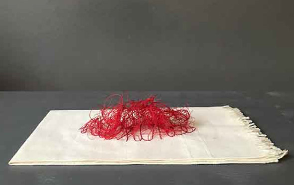 Carolle Bénitah, j'ai honte (2018; pannolino, ricamo, filo rosso, 15 x 26 cm)
