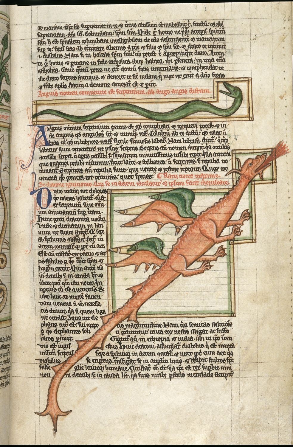 Miniatore del XIII secolo, Drago in un bestiario medievale (1255-1265 circa; Londra, British Library, Harley MS 3244, fol. 59r.) Miniatore del XIII secolo, Drago in un bestiario medievale (1255-1265 circa; Londra, British Library, Harley MS 3244, fol. 59r.)