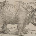 Il Rinoceronte di Albrecht Dürer. Origine e fortuna del pachiderma più famoso della storia dell'arte