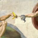 Dalla banana coi preservativi al gatto attaccato al muro: i meme più divertenti sulla banana di Cattelan