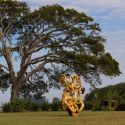 Dalle foreste dell'Amazzonia a Milano, l'arte brasiliana di Bia Doria è in mostra a Palazzo Litta