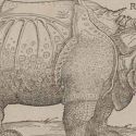 Una grande mostra presenta per la prima volta la collezione completa Remondini delle opere grafiche di Dürer