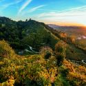 L'Italia ha un nuovo Patrimonio Unesco: le Colline del Prosecco. Sono 55 adesso i siti italiani