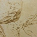 A Torino arriva Michelangelo: i disegni del grande artista toscano sono esposti alla Pinacoteca Agnelli