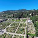 Visite guidate gratuite al Giardino della Villa medicea di Castello 