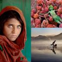 Icons di Steve McCurry in arrivo a Campobasso