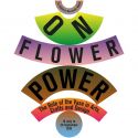 Flower Power: il ruolo del vaso nell'arte, nell'artigianato e nel design in mostra a Roma