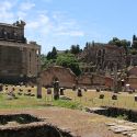 Roma, Foro Romano e Fori Imperiali finalmente uniti: sono ora visitabili per la prima volta con un biglietto unico