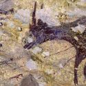 Arte rupestre, forse è stata scoperta la più antica scena di caccia al mondo 