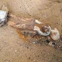 Egitto, team di ricerca italo-egiziano scopre una nuova tomba con 35 mummie
