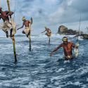 I pescatori di Weligama, Sri Lanka: tutta la storia dietro la famosa icona di Steve McCurry 
