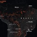 Lo storico dell'arte brasiliano: “in Amazzonia catastrofe ecologica: rinuncio al convegno mondiale di Firenze”