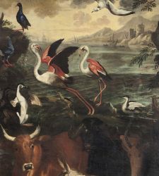 Die wunderbare Welt der Natur zwischen Kunst und Wissenschaft: zu sehen im Mailänder Palazzo Reale