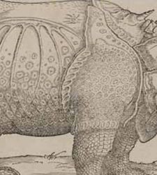 Una grande mostra presenta per la prima volta la collezione completa Remondini delle opere grafiche di Dürer